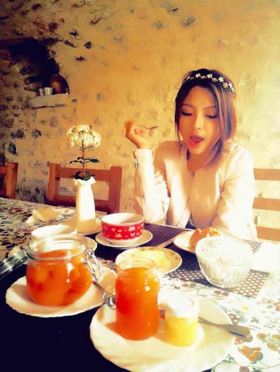 Venterol  ドマン ドゥ プロバンソル Bed & Breakfast エクステリア 写真
